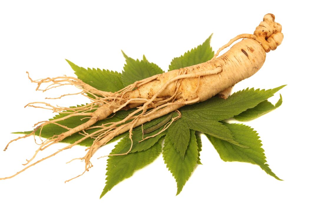 ginseng σε Big Size