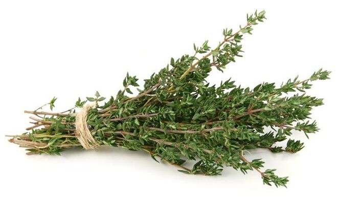 θυμάρι για μεγέθυνση πέους